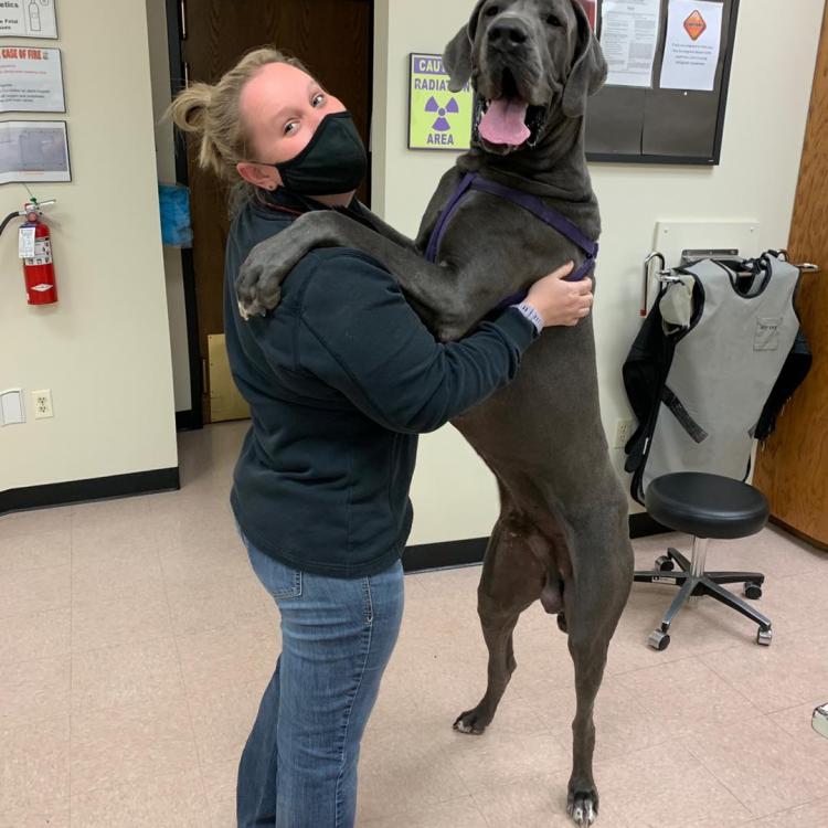 Indian Hills Animal Clinics Wichita, KS